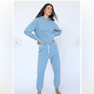 Perfectwhitetee Light Blue Hoodie